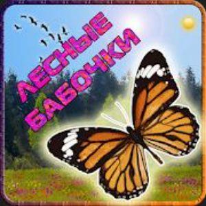 Lesnie Babo4ki