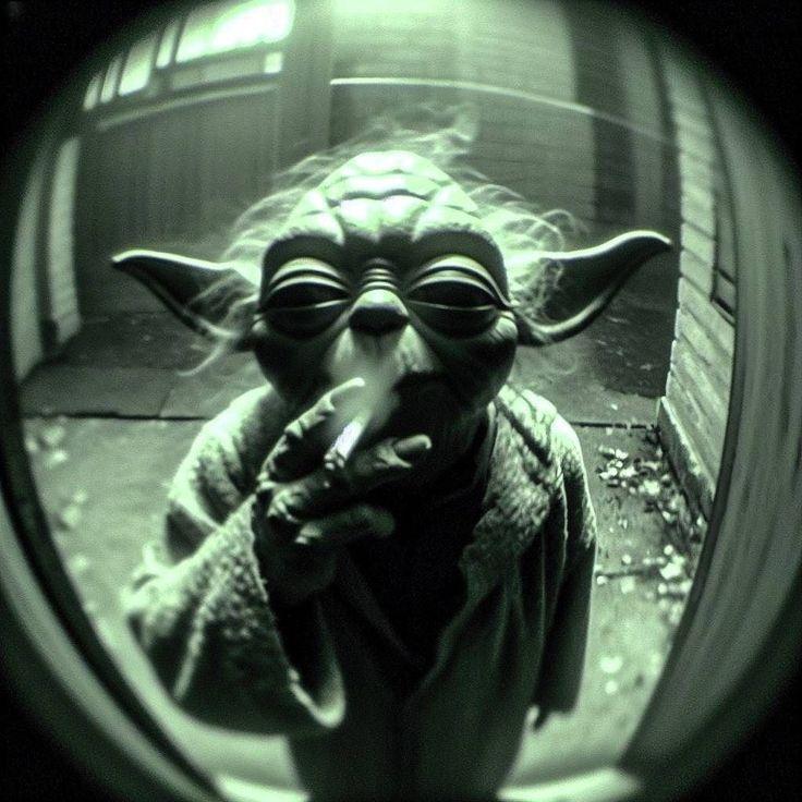 RepublicKoma avatar