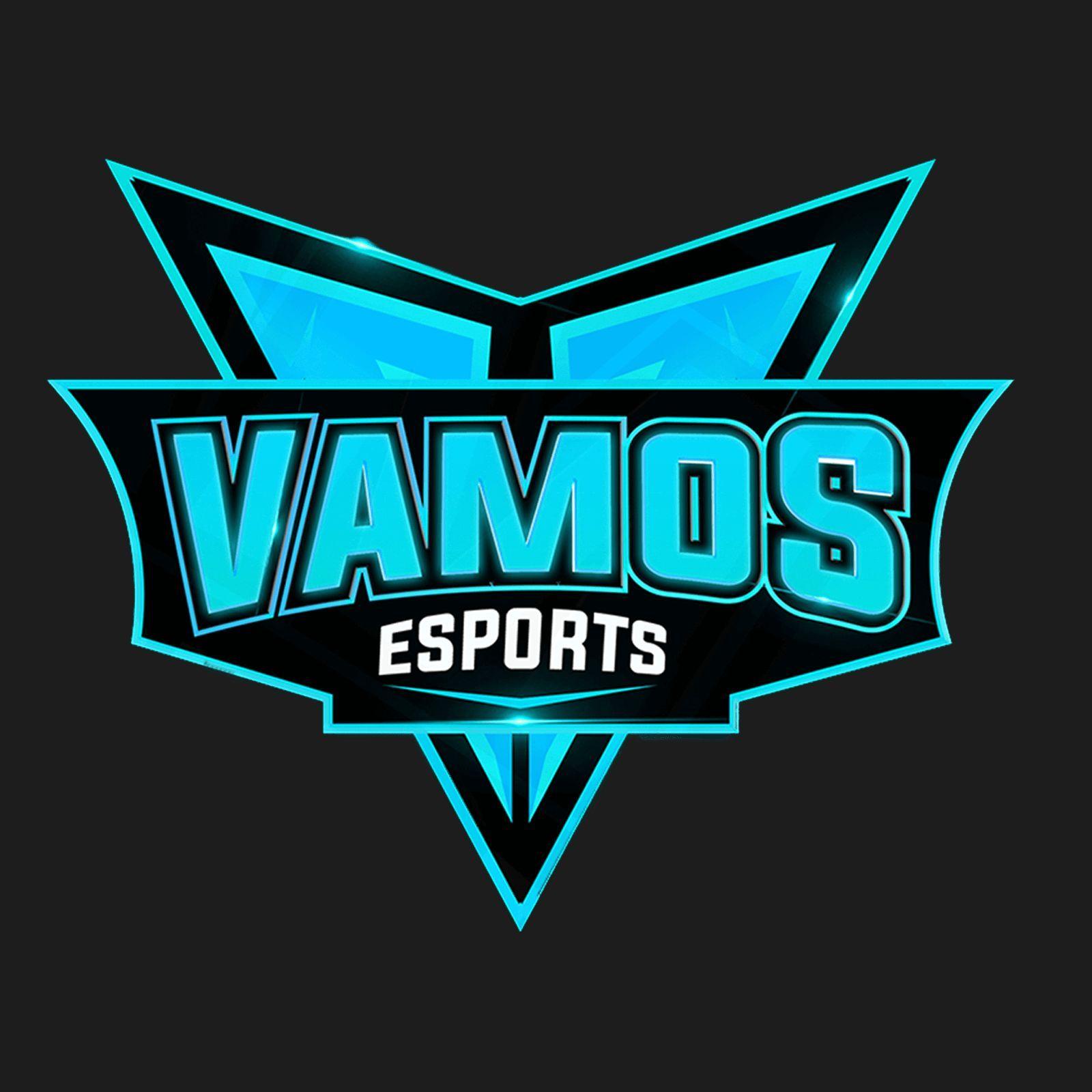 VaMoS04