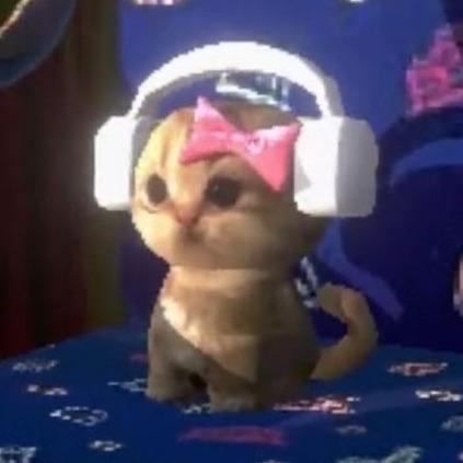 nyblinliz
