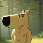zylastychuj