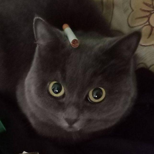DUxENe