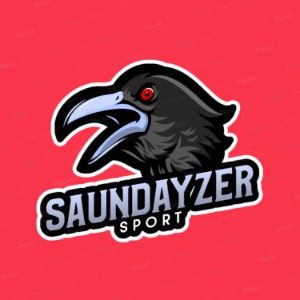 Saundyzer