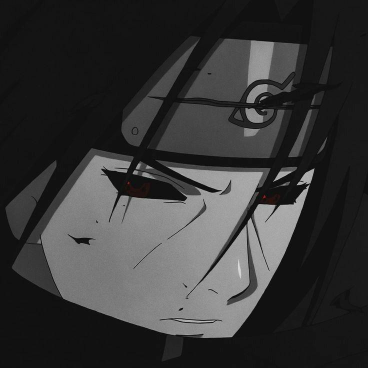 --Shouto-- avatar