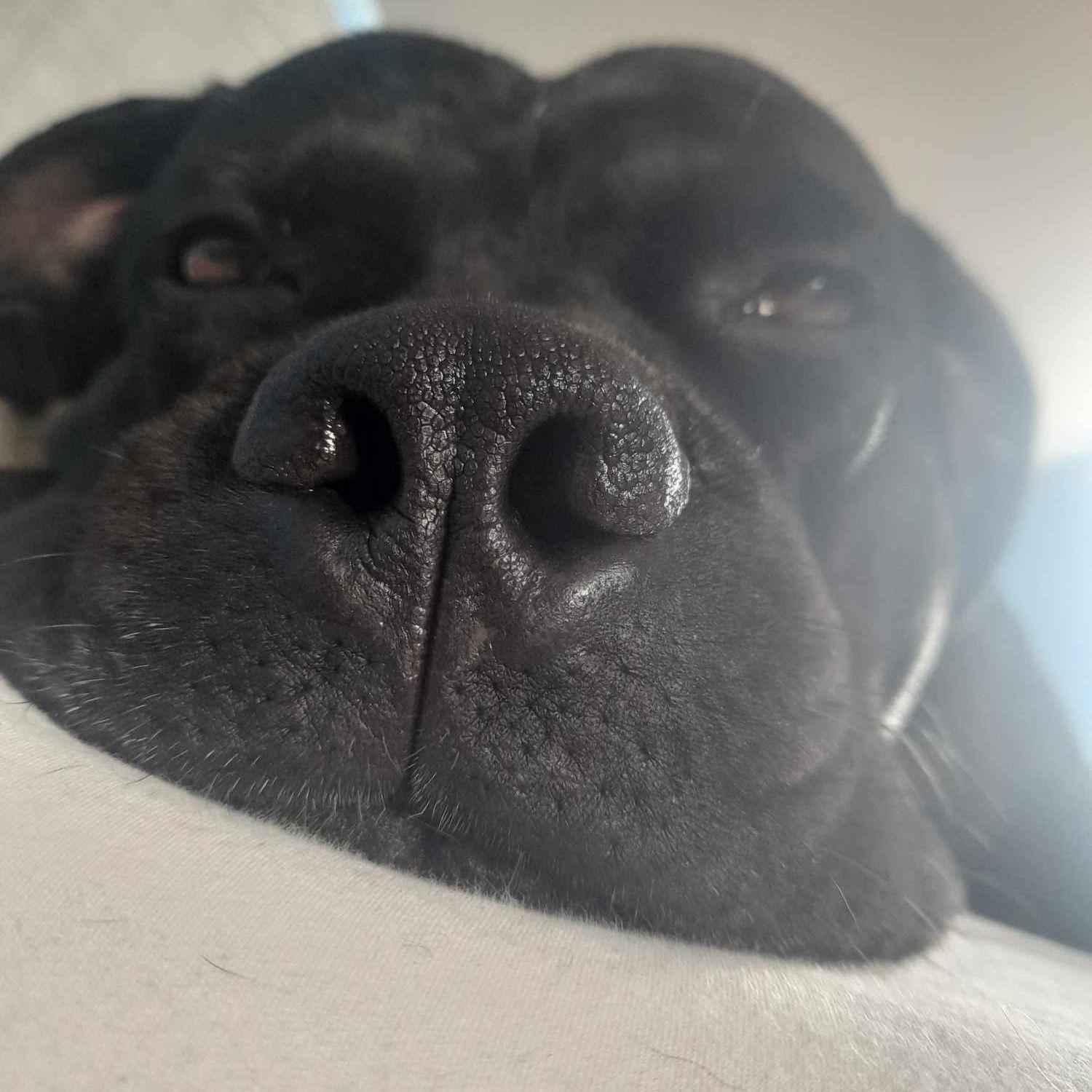 maxyyy- avatar