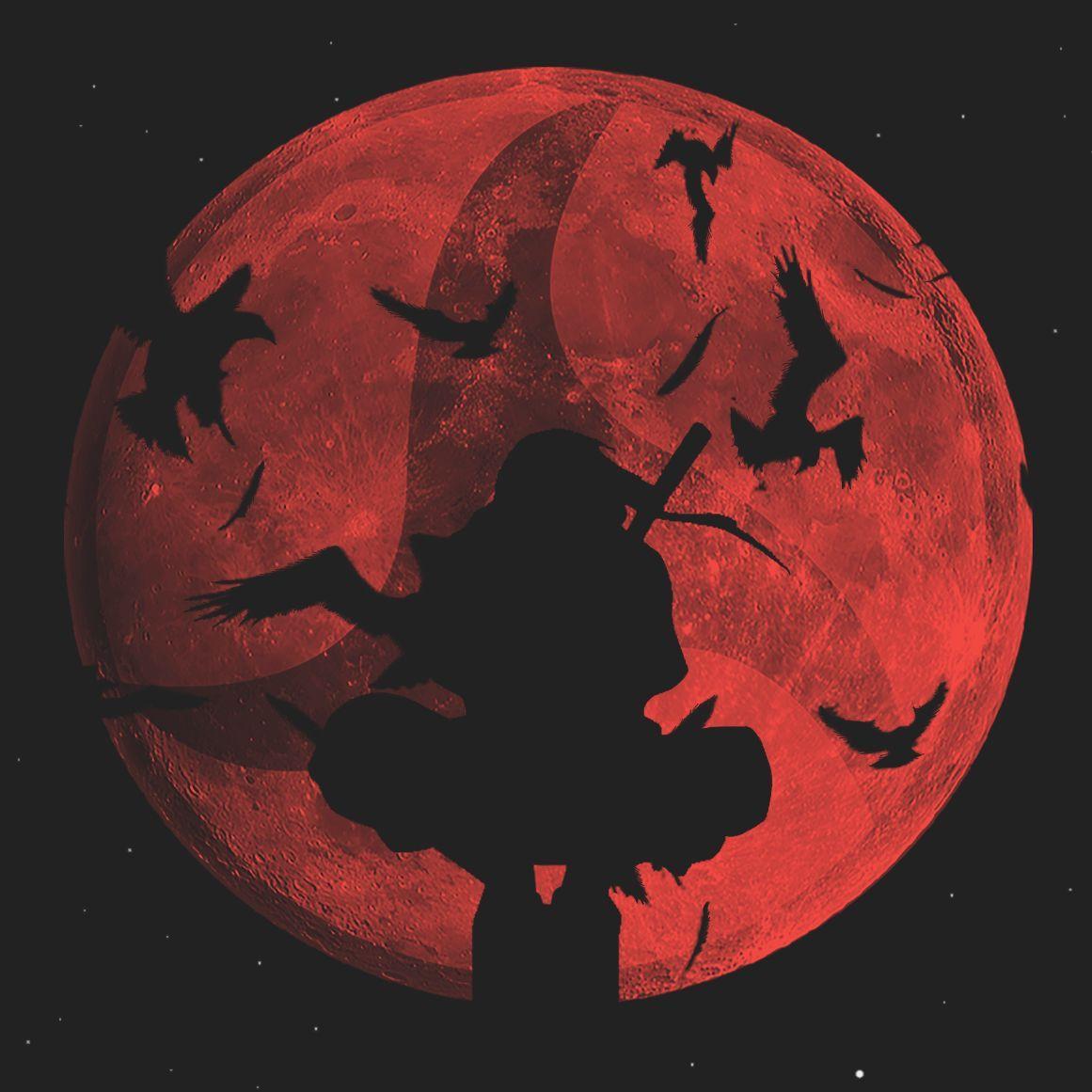 zlllatan avatar