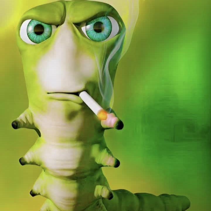meatgrinder_ avatar
