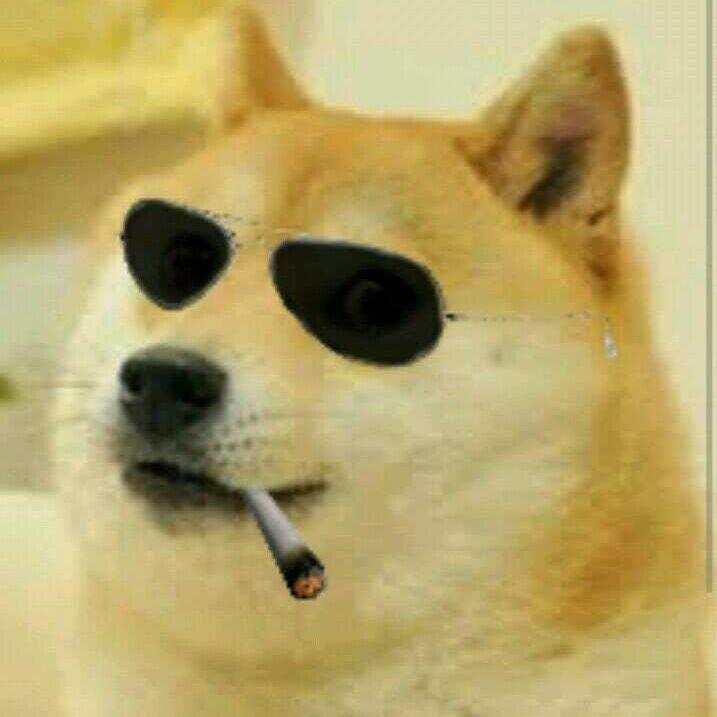 DOGE_TOKYO avatar