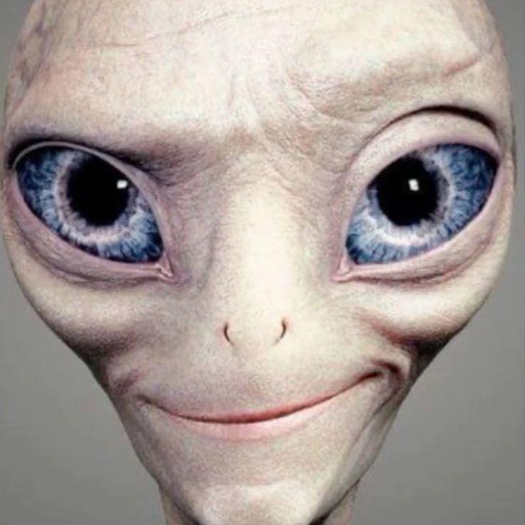lekatorr avatar