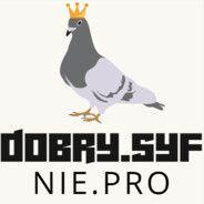 Player Dobrysyf avatar