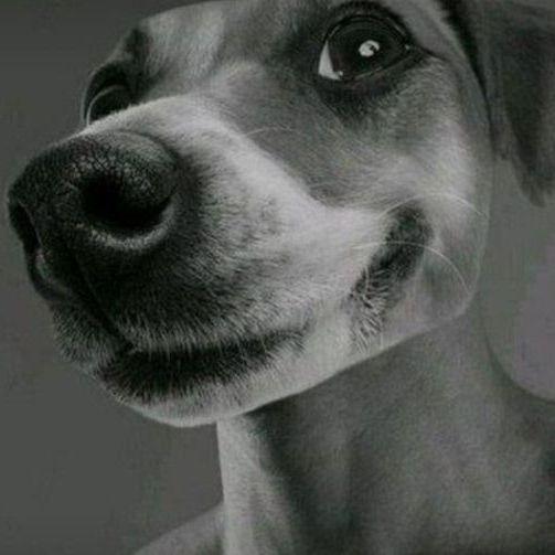 Zhekazzz avatar