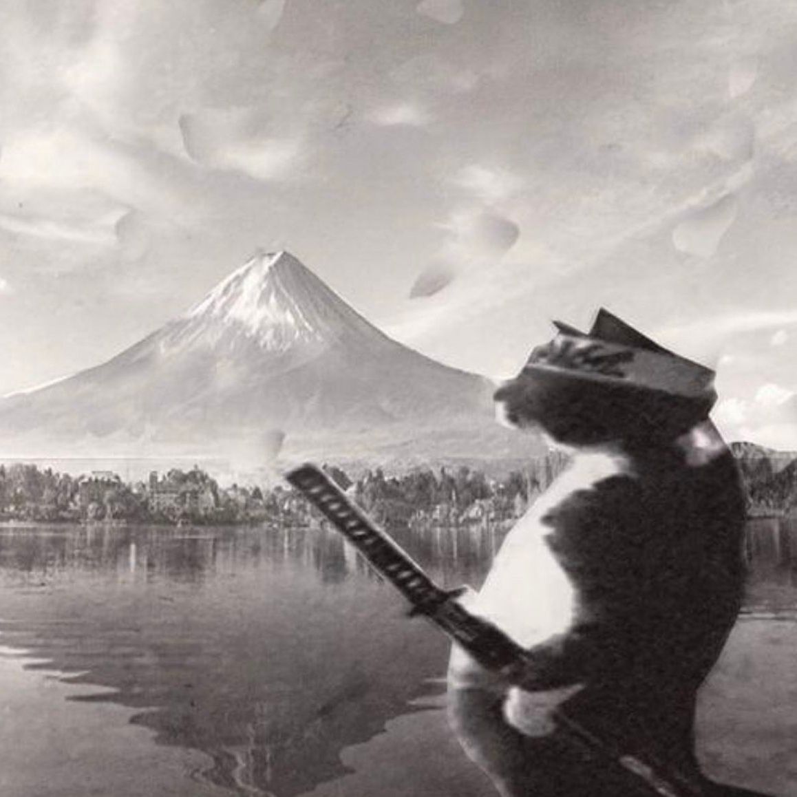 Xerares