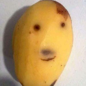 GETIEF avatar