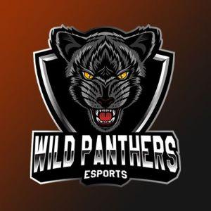 Wild Panthers
