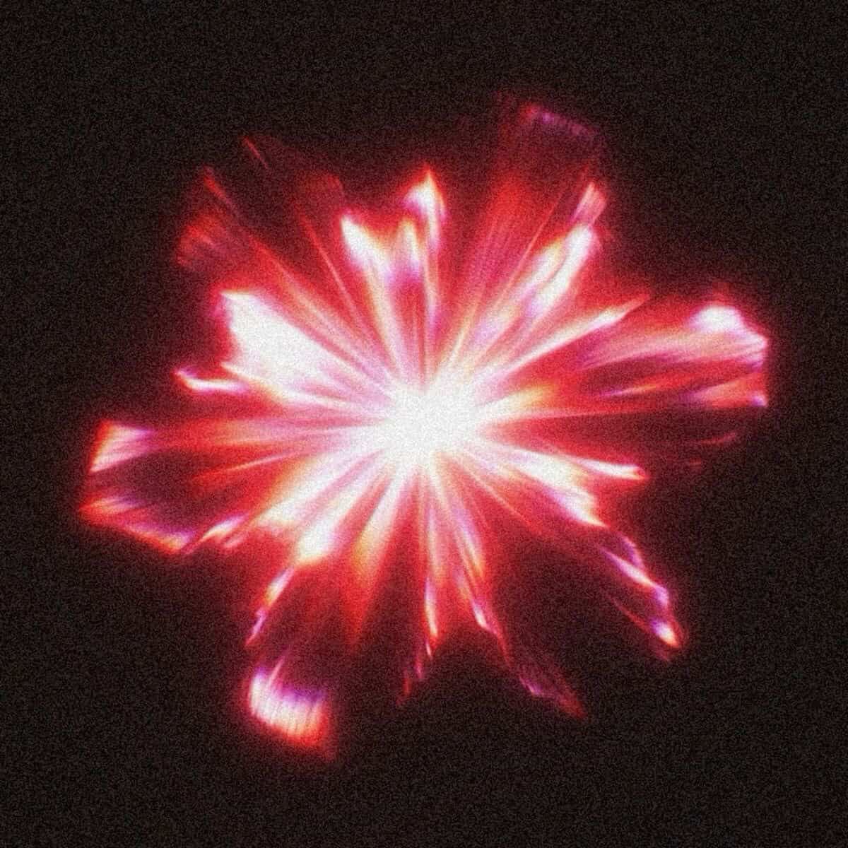 popkatrah