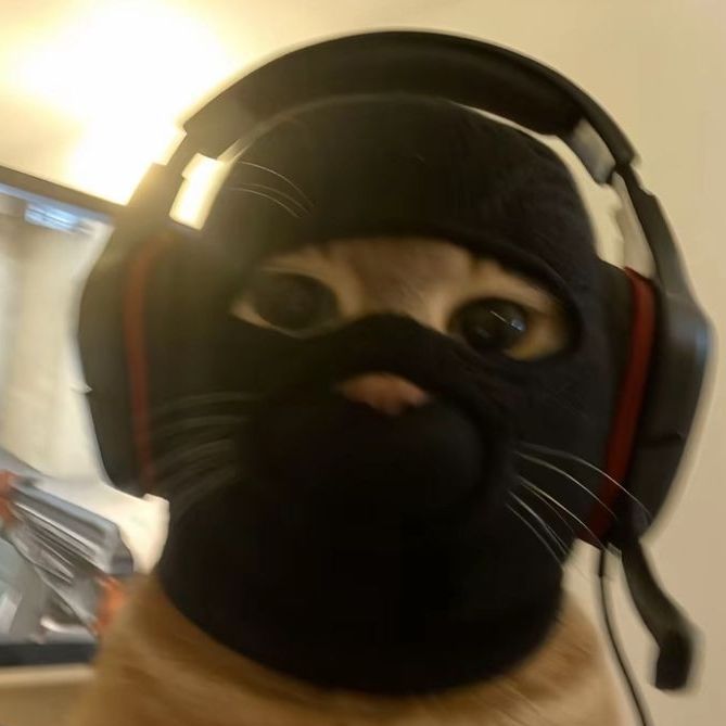 merveruzzz FACEIT avatar