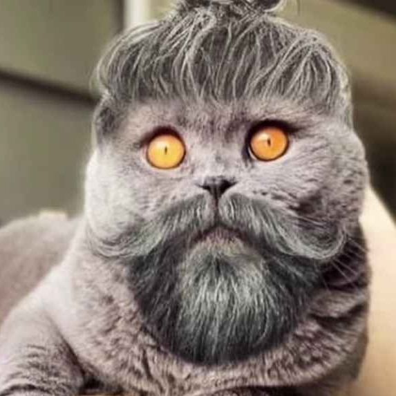 Akeemstar