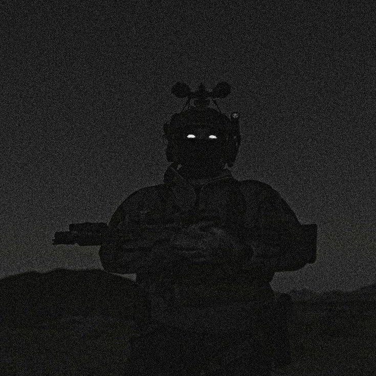Nvp-37