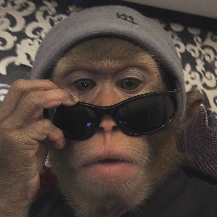 ne5murff