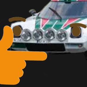 11feniks1