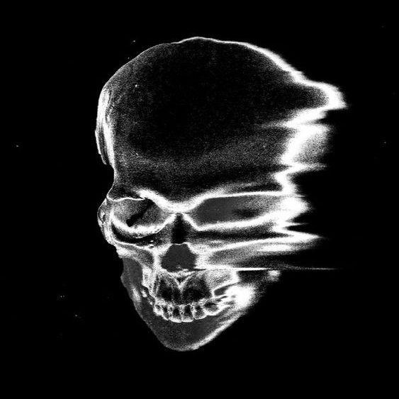 kamxz12 avatar