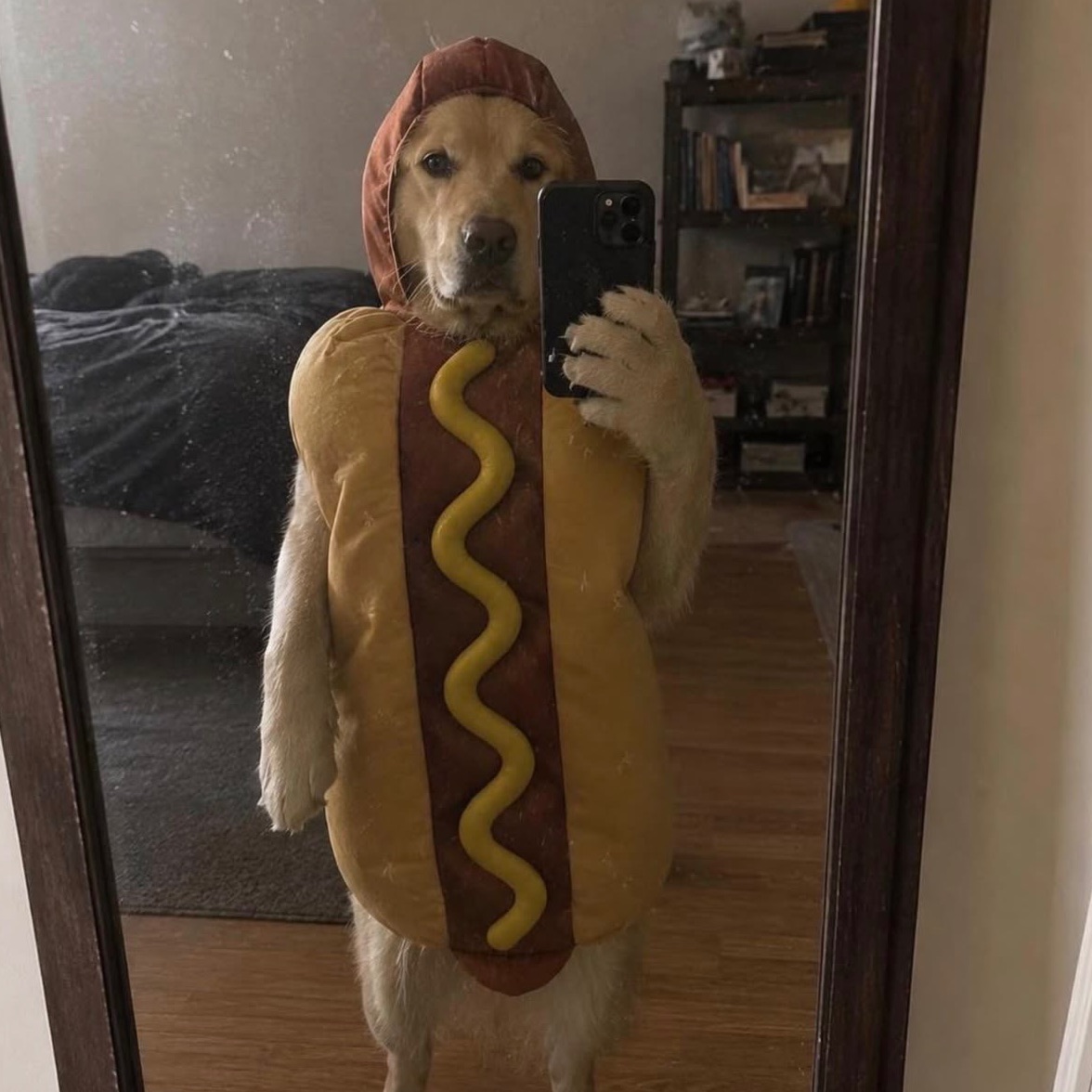 pako_