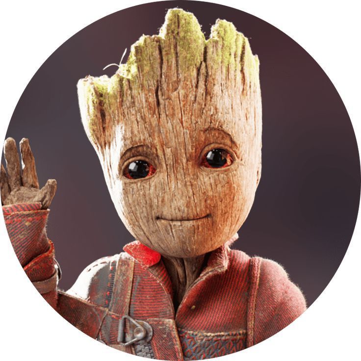 HI_IMGROOT