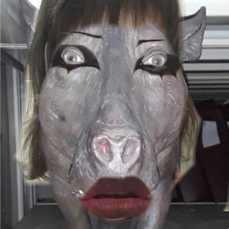 Graydy