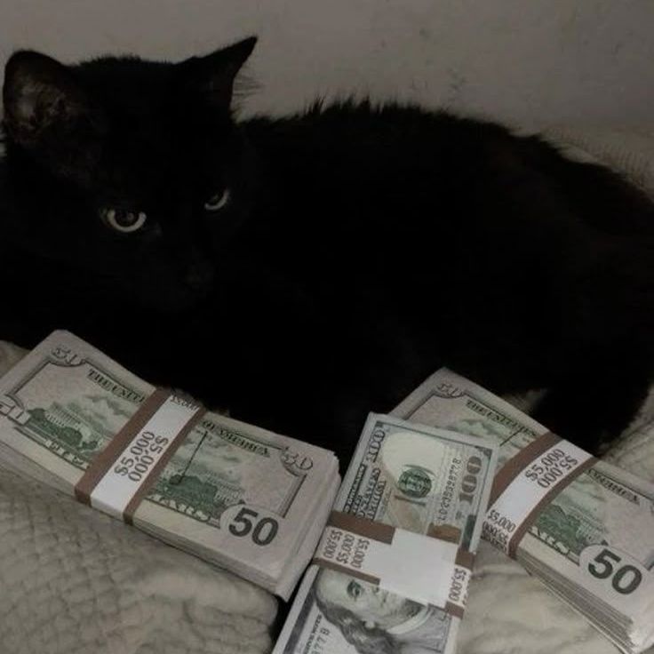 kyrsedkaaa