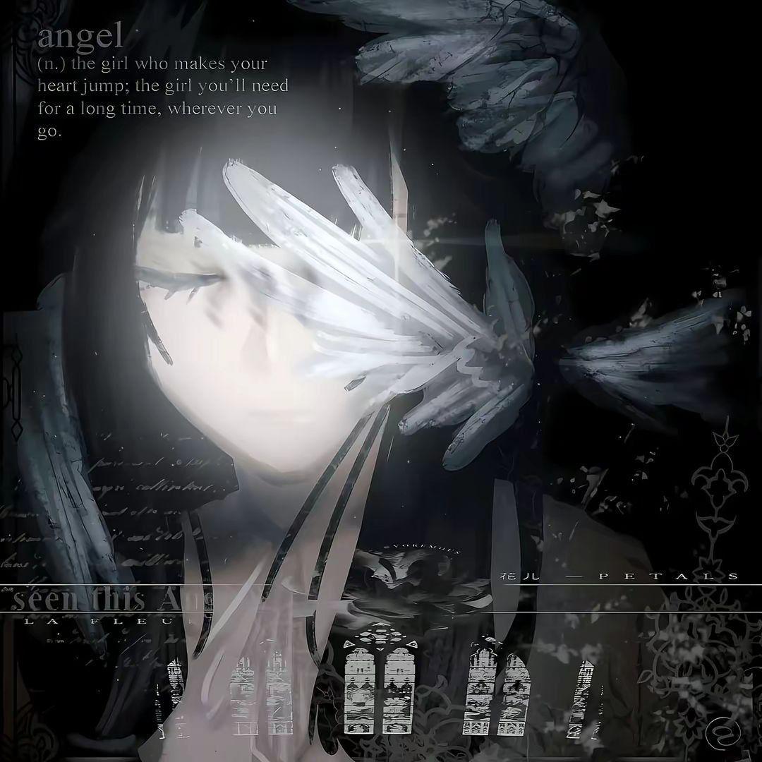 yut1s avatar