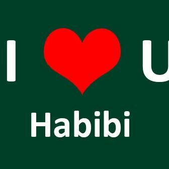 -HABIIBII-