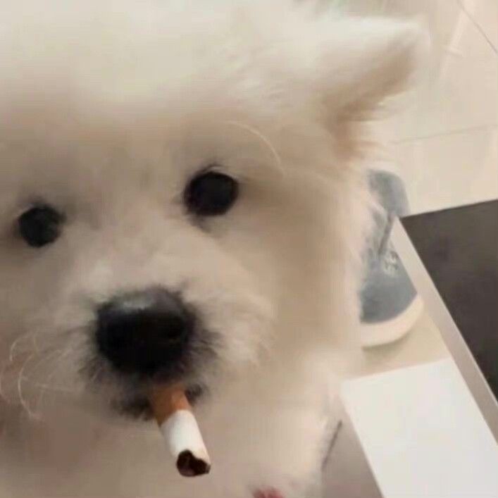 Genxiu FACEIT avatar
