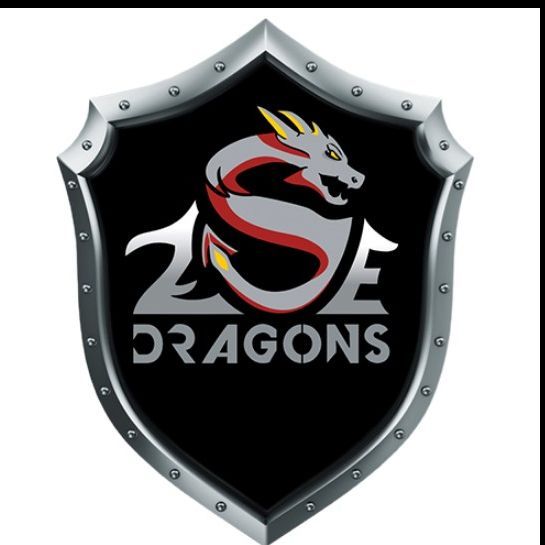 ZSE DRAGONS