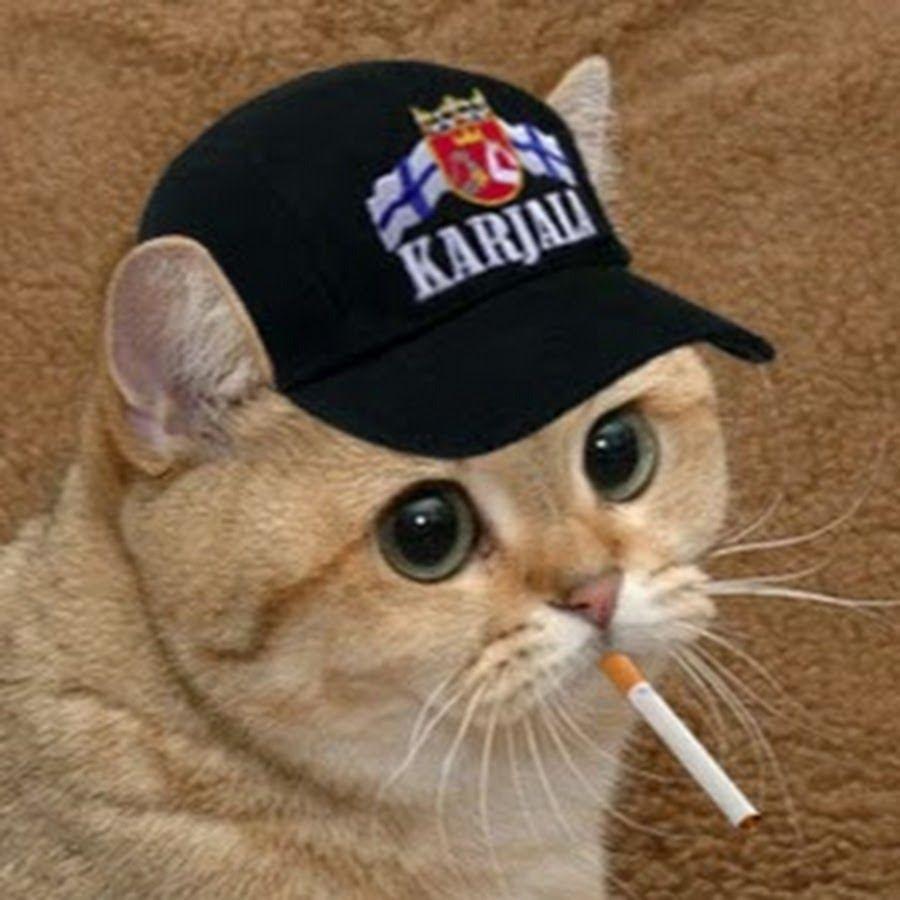gidrog3l avatar