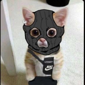 haveri2 avatar