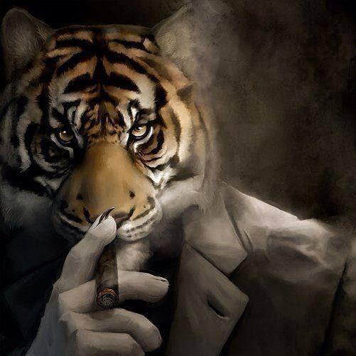 -m3rzav3c- avatar