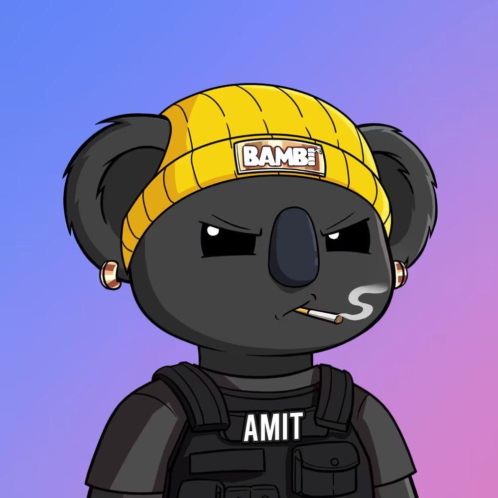 AMIT4444 avatar