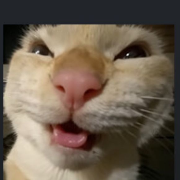 K0rD9N