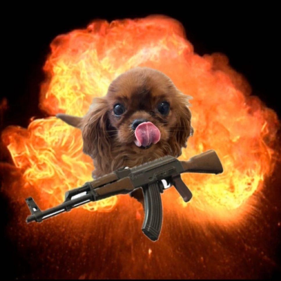LaDouce avatar