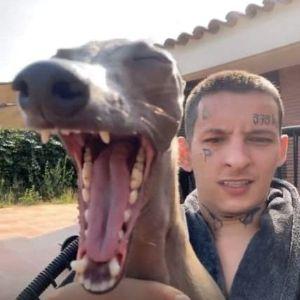 GAD31LA avatar