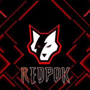 Player Redpok-FR avatar