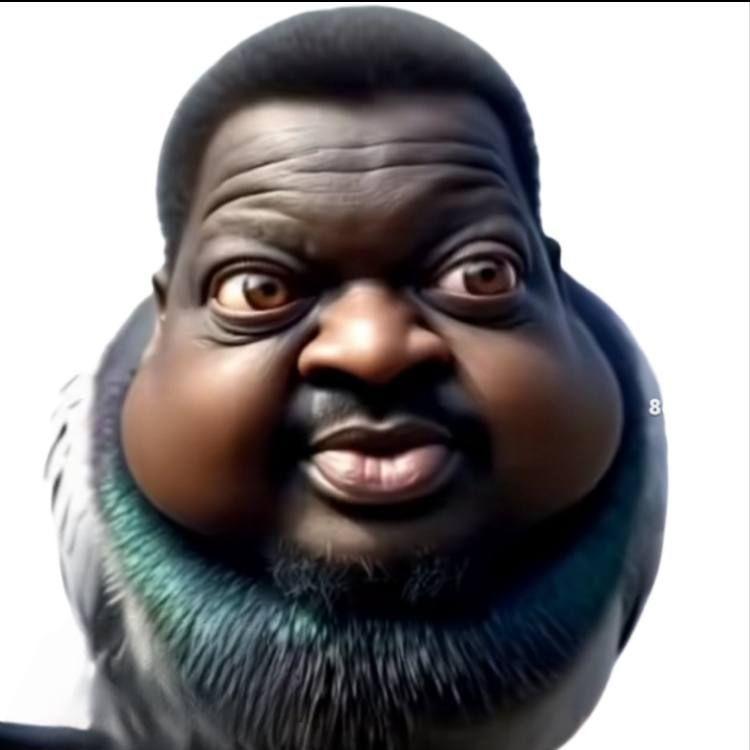 rozawetrow1 avatar