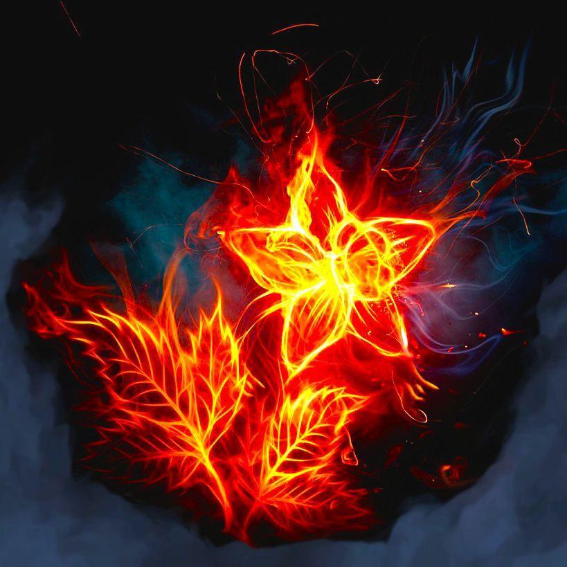 Gelenz_YZ avatar