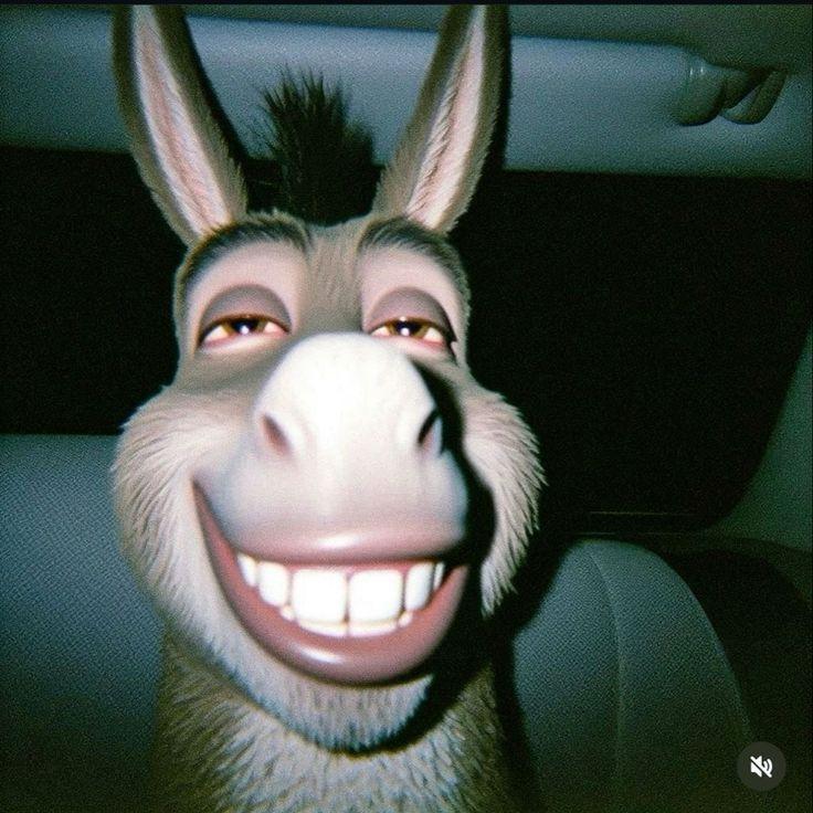 flikbtw16 avatar