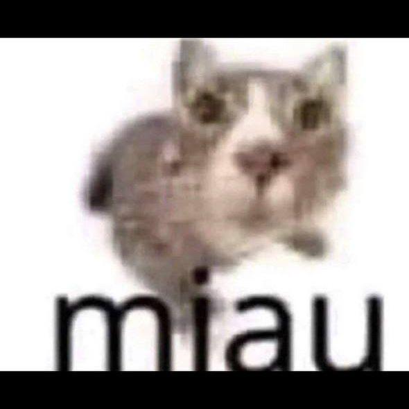 4M0_EBANOE avatar