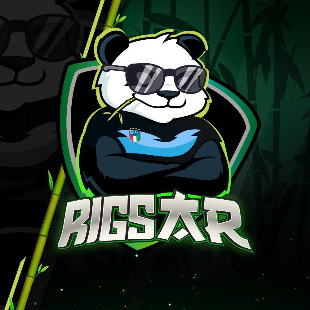 Player RigsAR avatar