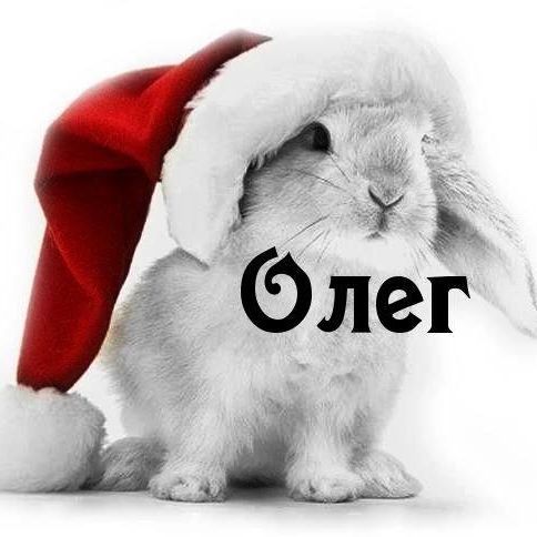 GR3TSKY_OLEG FACEIT avatar
