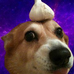 Katheeri avatar