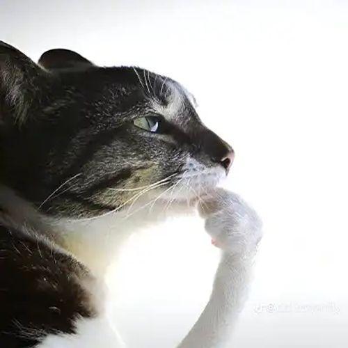 Aanders0n avatar