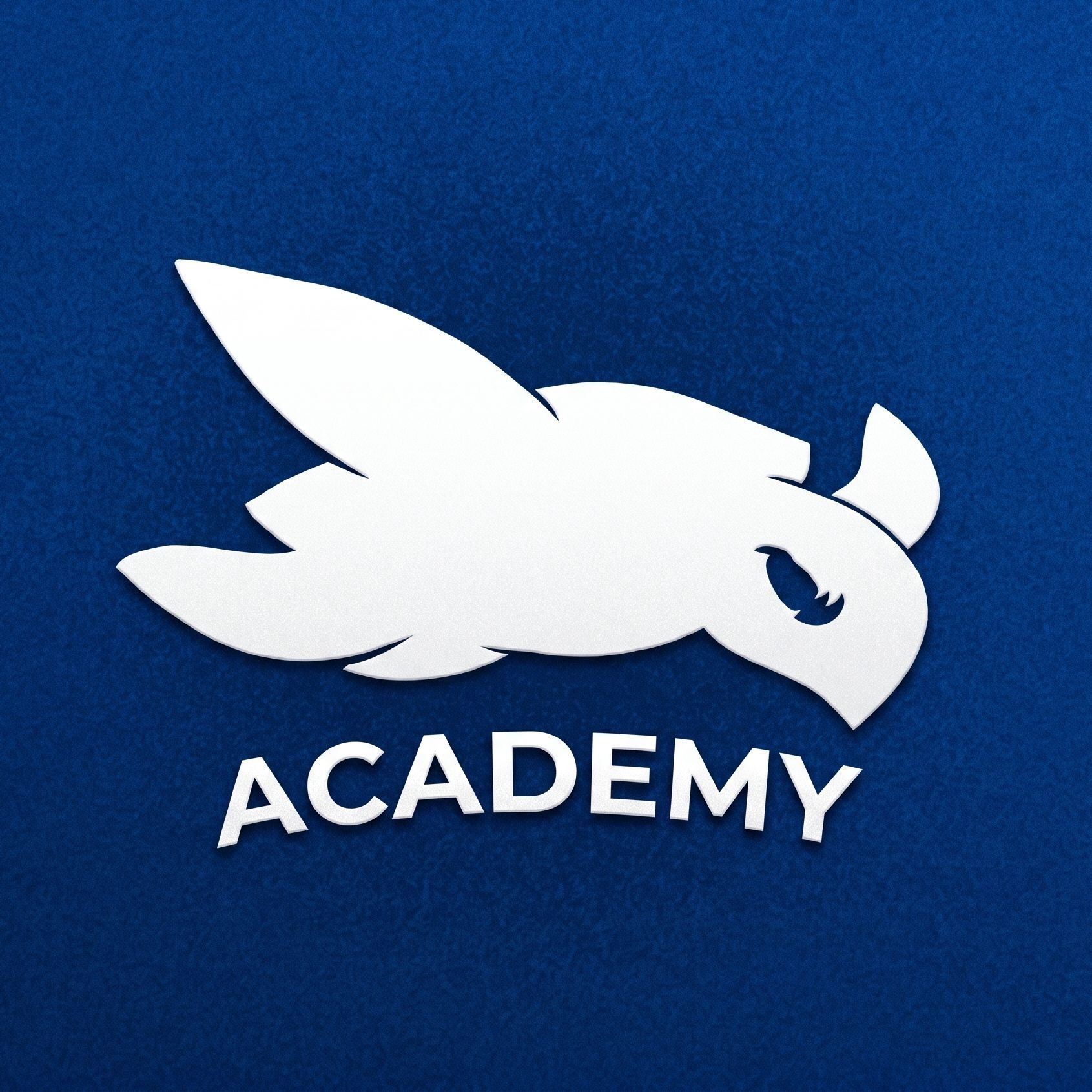 Turtles Clan Academy